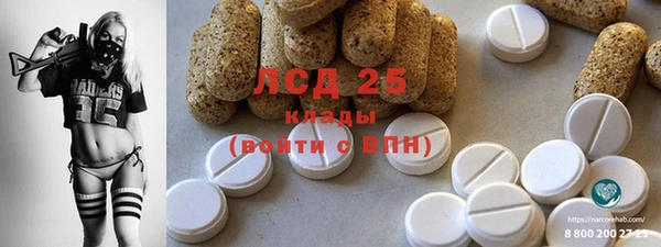 прущие грибы Слюдянка