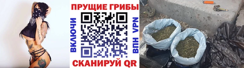 Галлюциногенные грибы GOLDEN TEACHER  KRAKEN вход  Бирск 